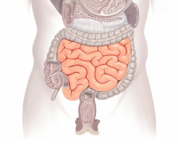 Loss of Bladder or Bowel Control